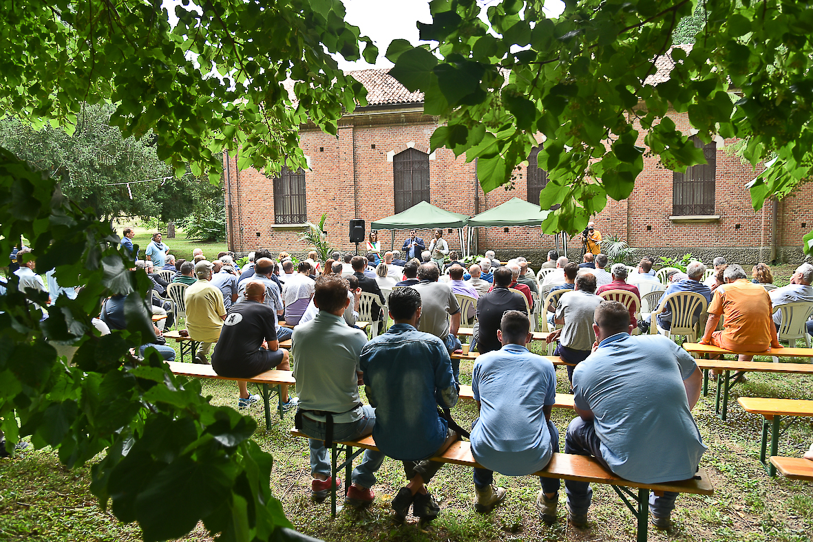 Pertura_Mondine_Foto_Gianni_Bellesia_11